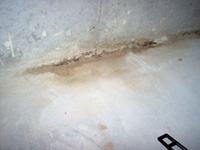 Floor Wall Leak