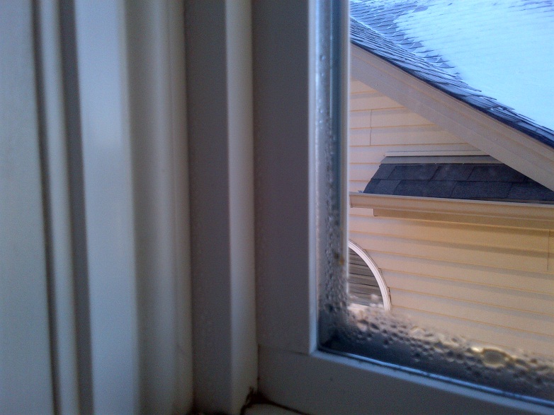 Does Your New House Have Condensation On The Windows? Home Front
