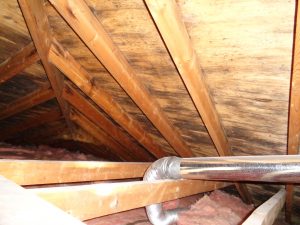 Attic with mould on plywood ceiling