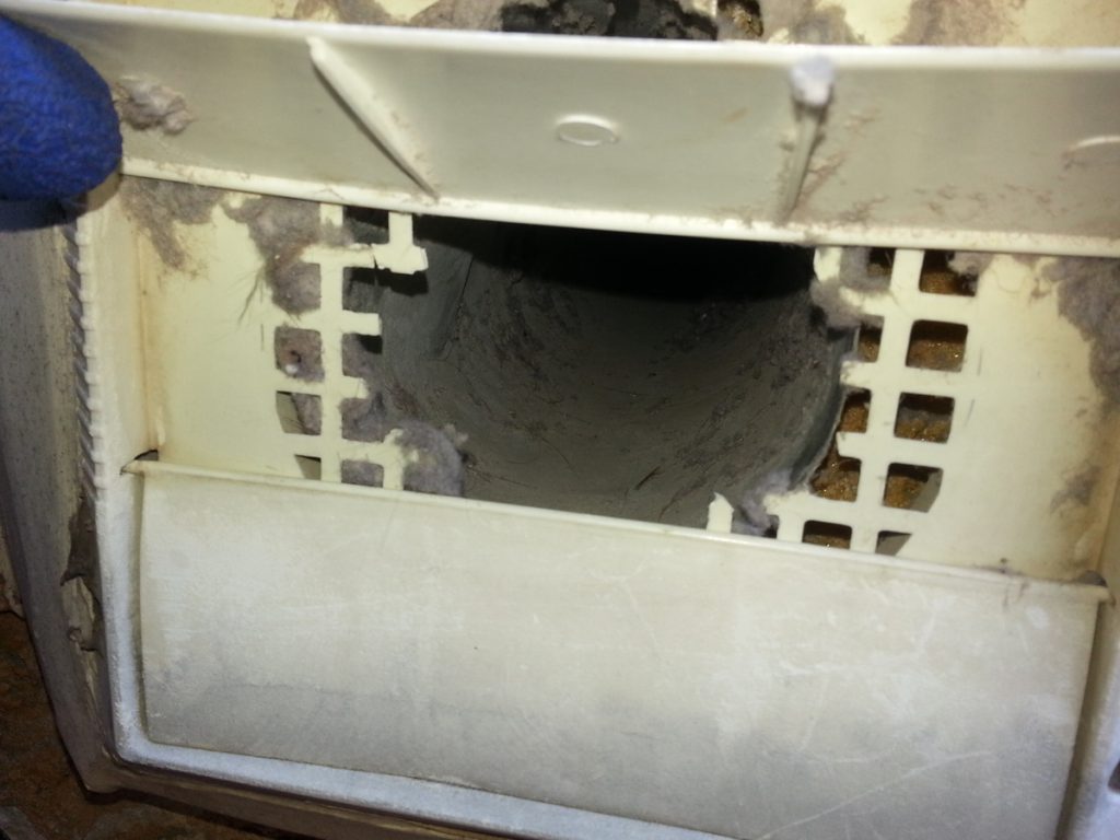 An example of a vent with the screened chewed by an animal